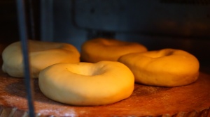 Ring Doughnuts Proofing